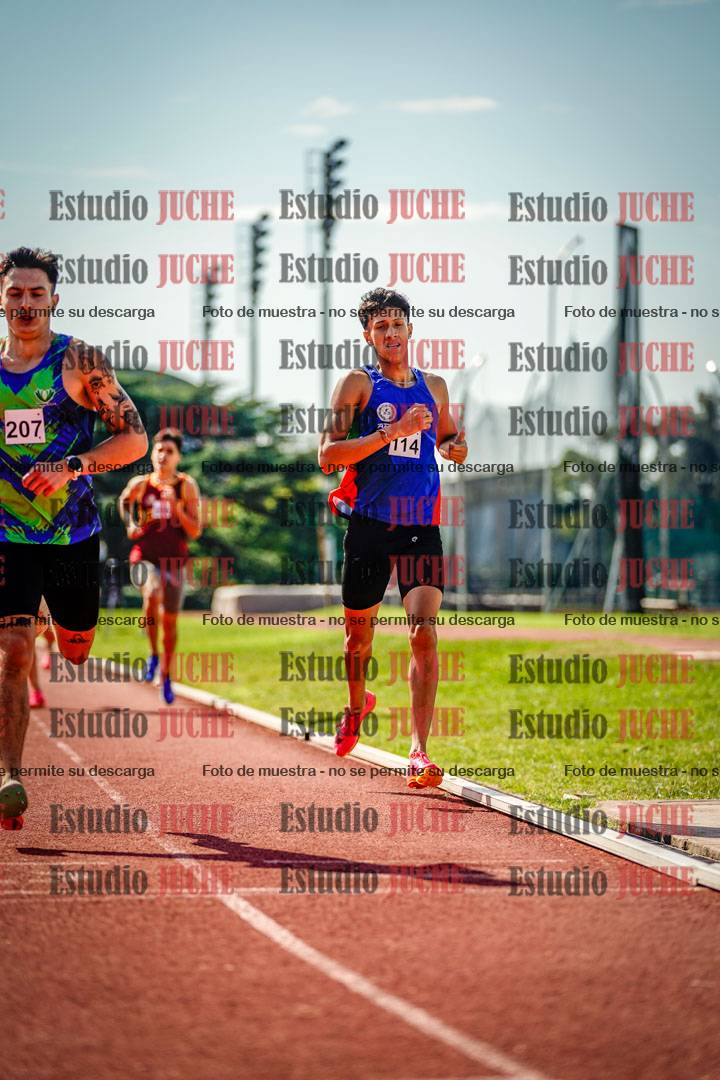 Fotos de los 800 m llanos de varones