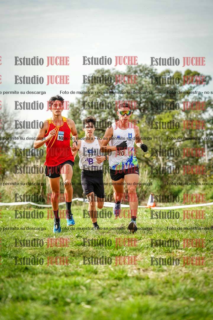 Fotos en el circuito