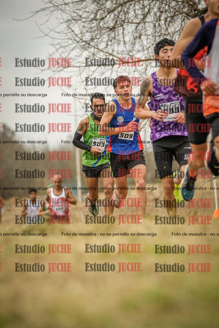 Fotos en el circuito