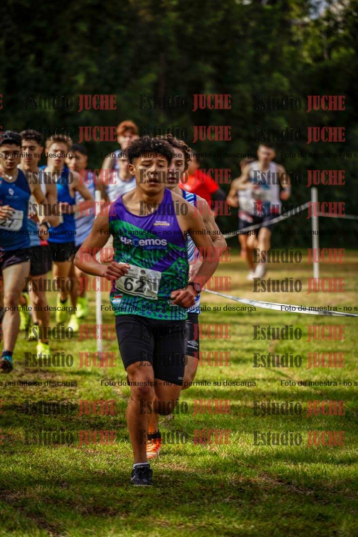 Fotos en el circuito