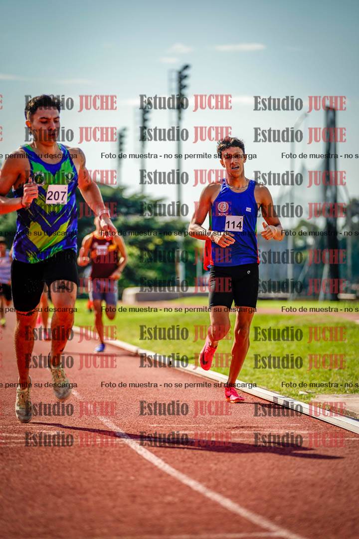 Fotos de los 800 m llanos de varones