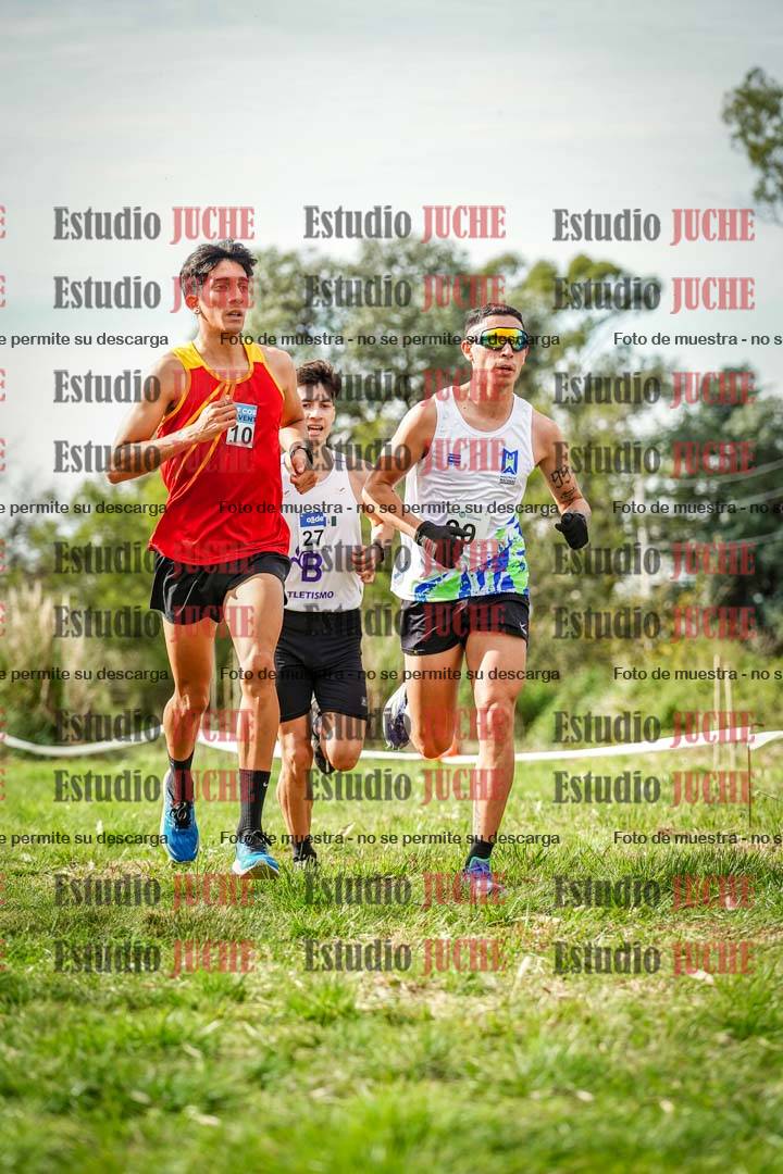 Fotos en el circuito