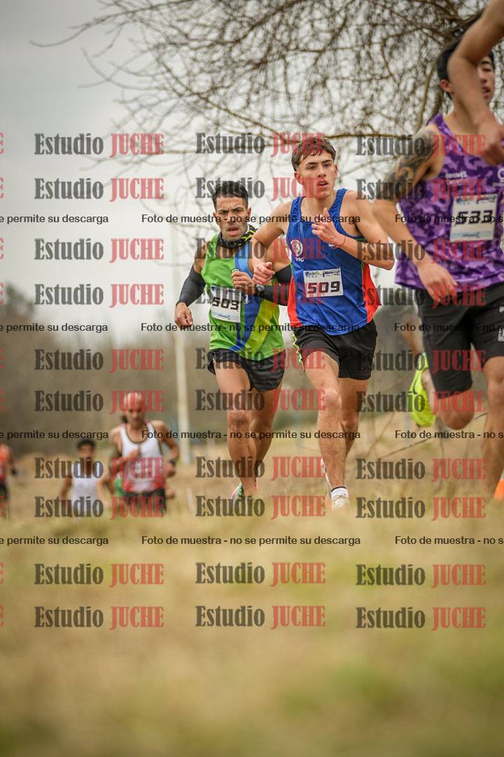 Fotos en el circuito