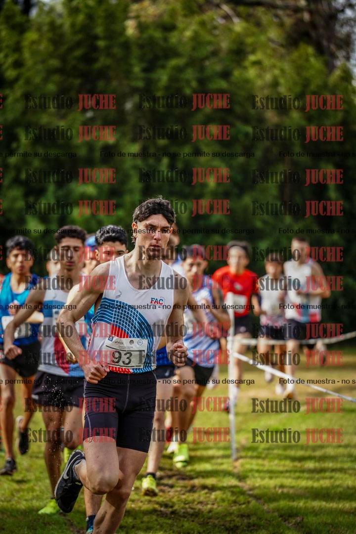 Fotos en el circuito