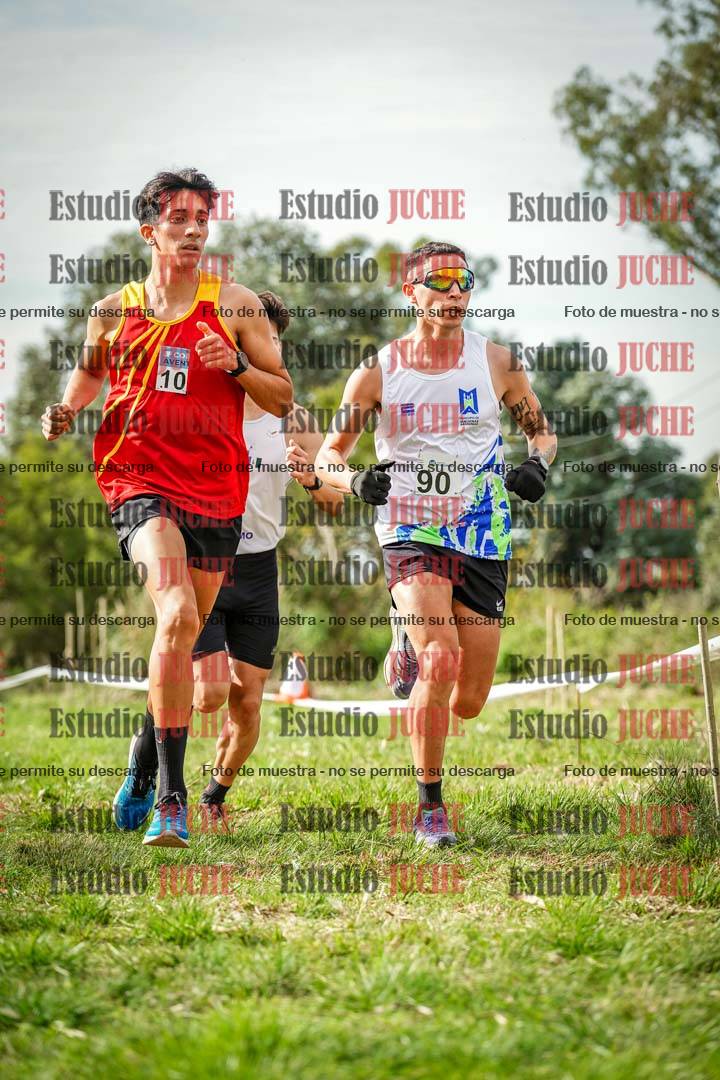 Fotos en el circuito