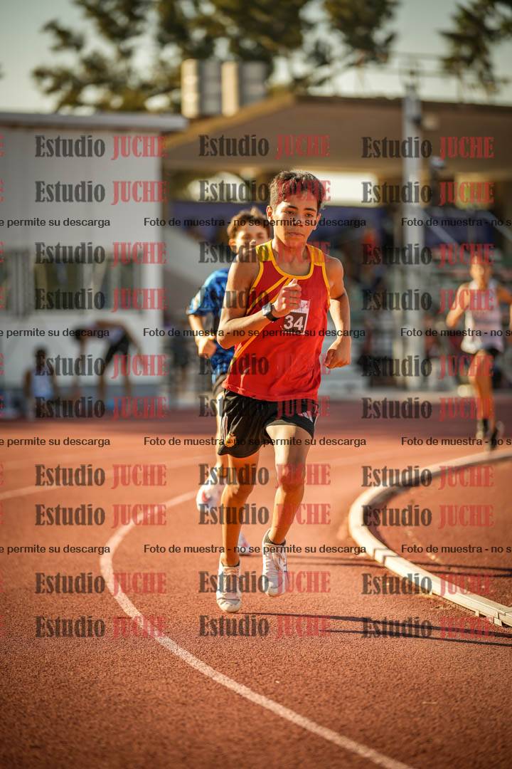 Fotos de los 800 m llanos de varones