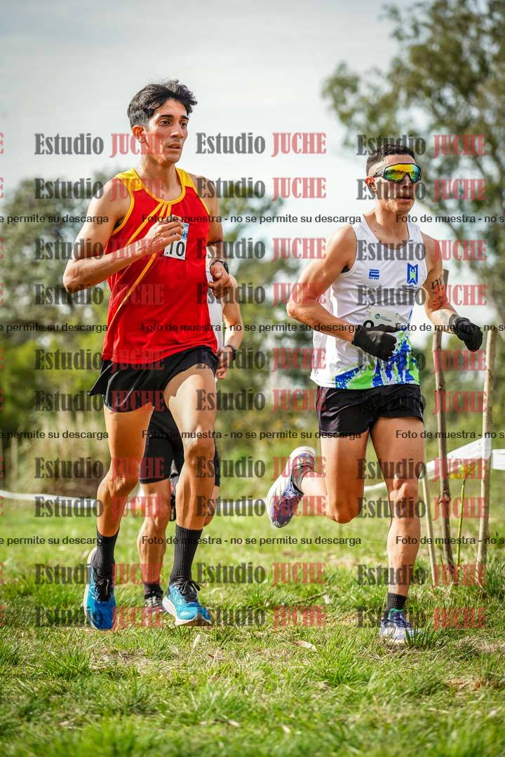Fotos en el circuito