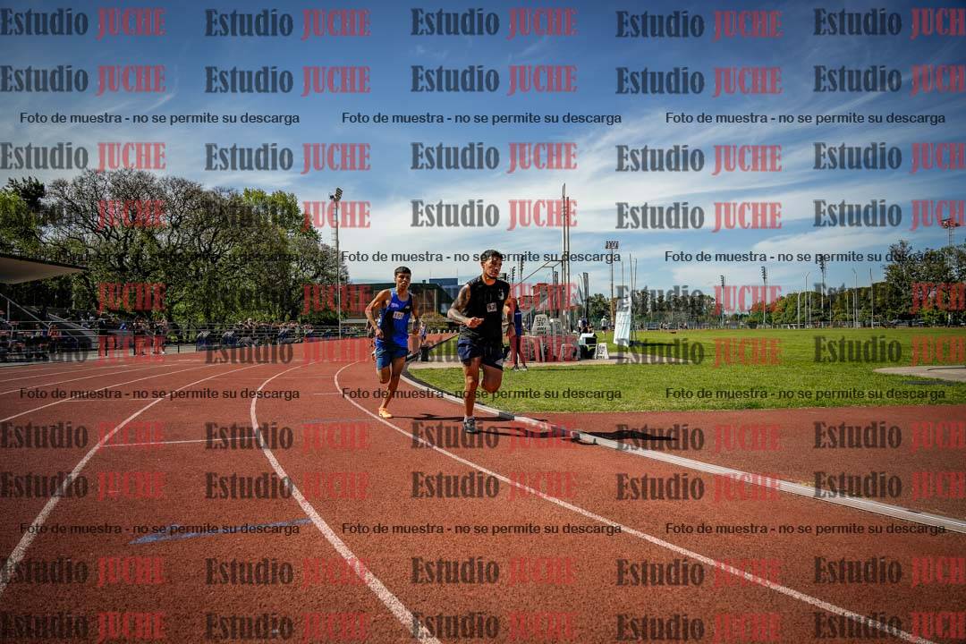 Fotos de los 800 m llanos de varones