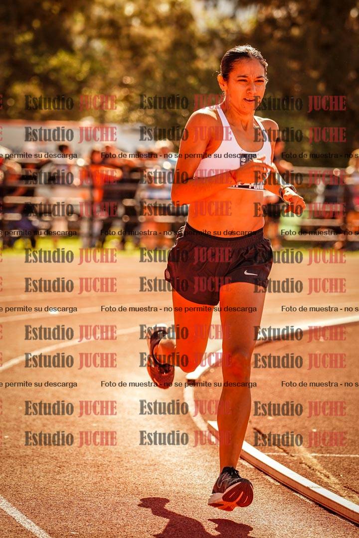 Fotos de los 800 m llanos de mujeres