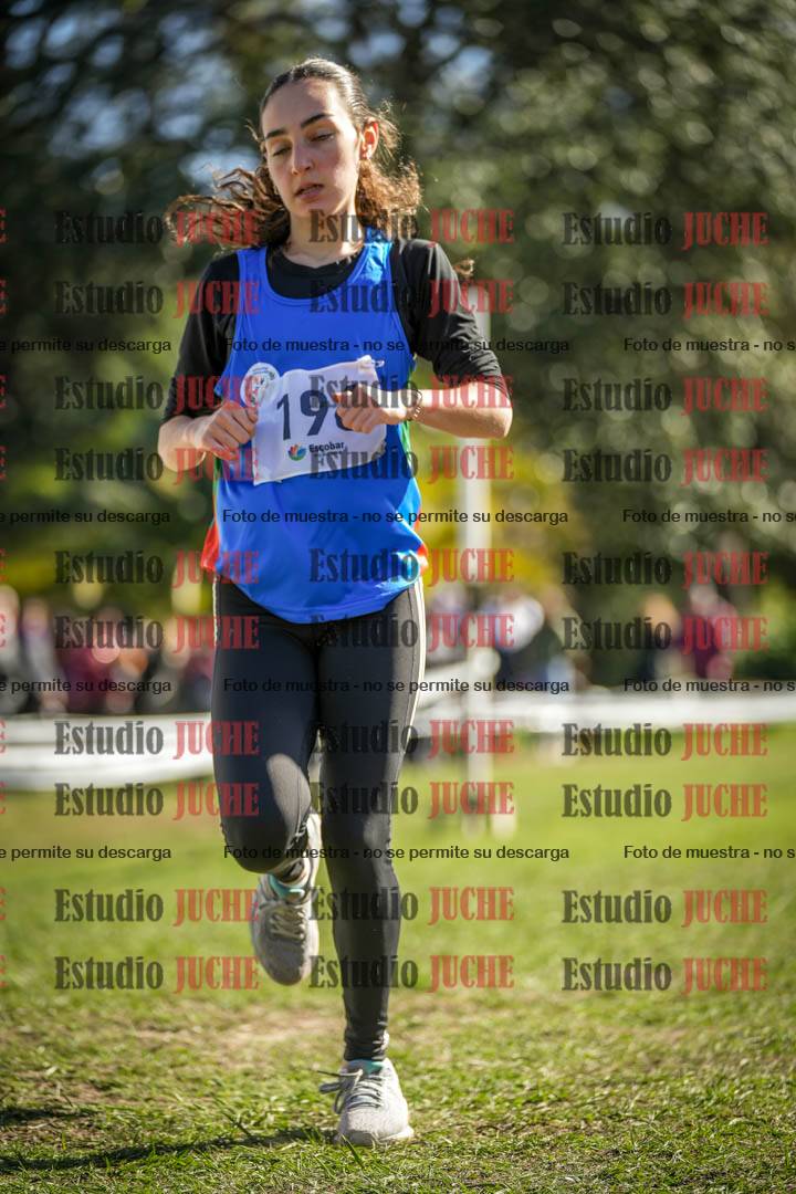 Fotos de la llegada del cross de 1500 m
