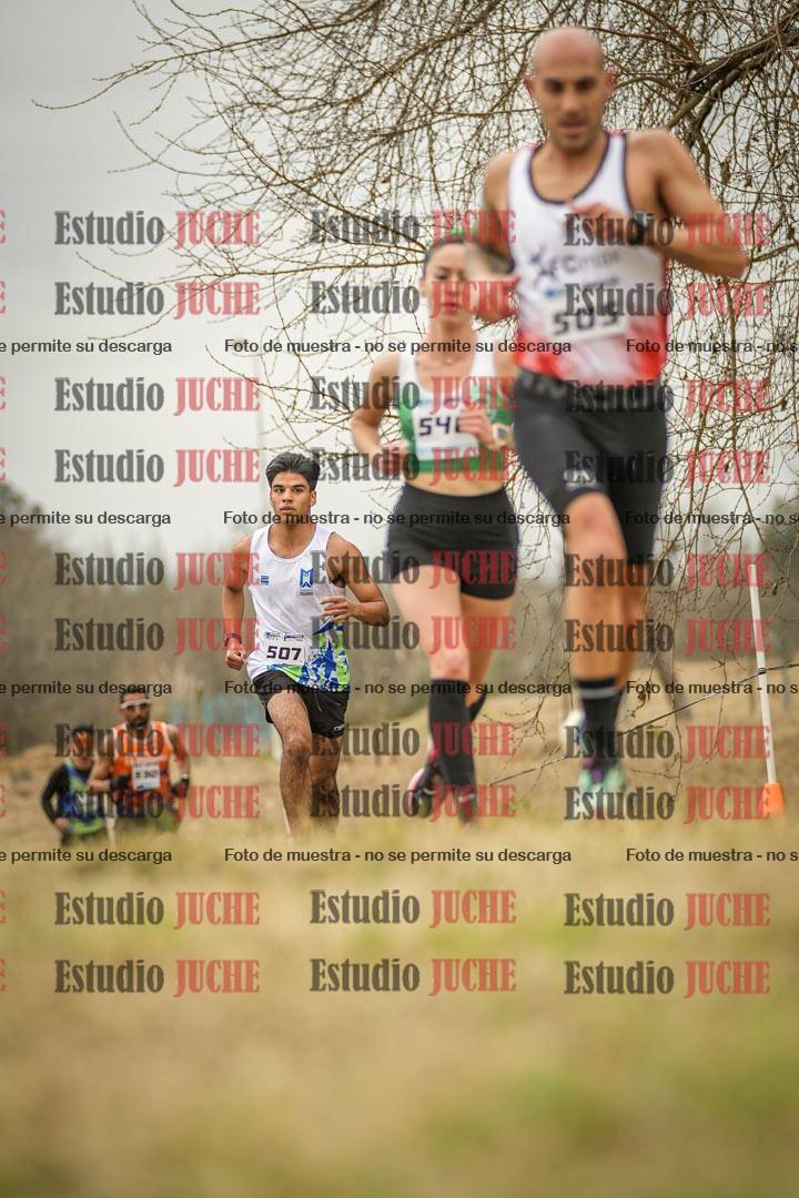 Fotos en el circuito