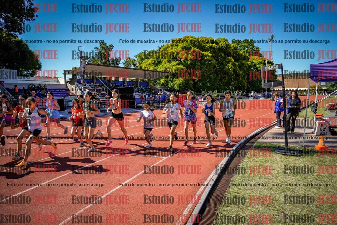 Fotos de los 1200 m llanos de mujeres