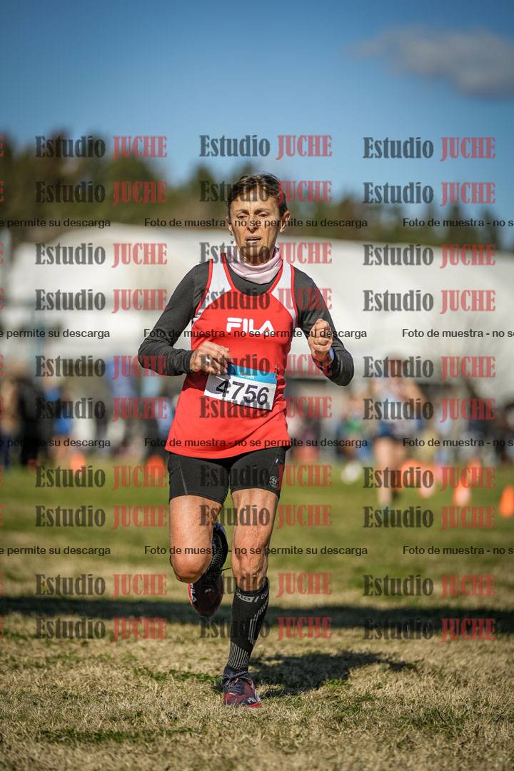 Fotos de las llegadas