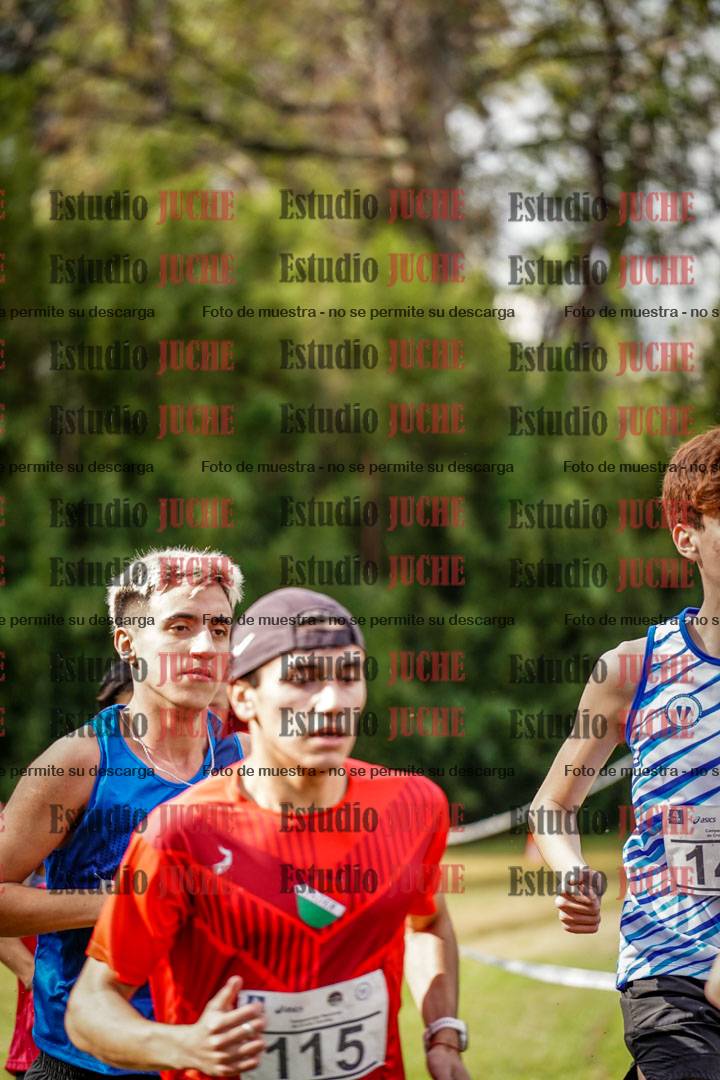 Fotos en el circuito
