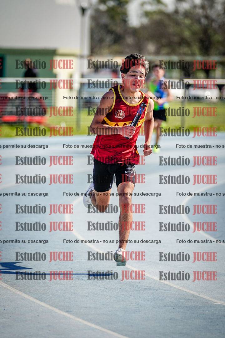 Fotos de las postas 8x300 m mixtas