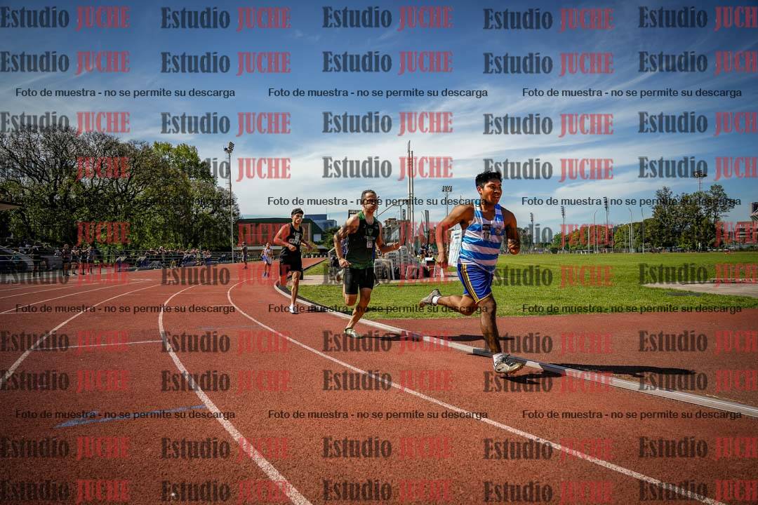 Fotos de los 800 m llanos de varones