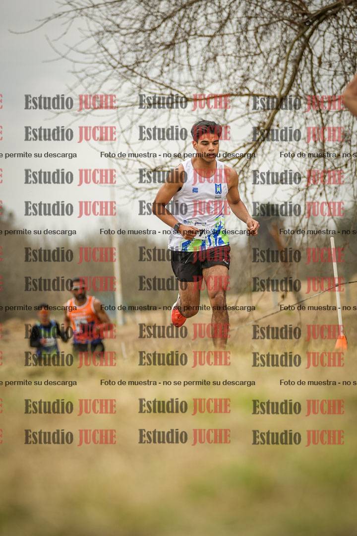 Fotos en el circuito