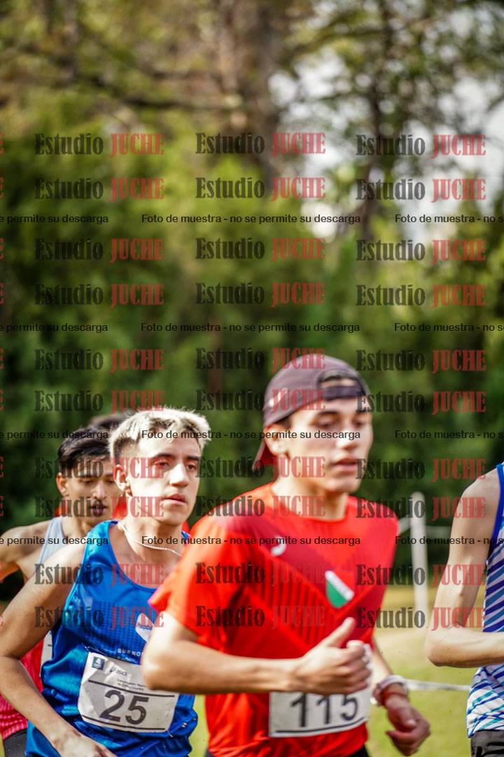 Fotos en el circuito