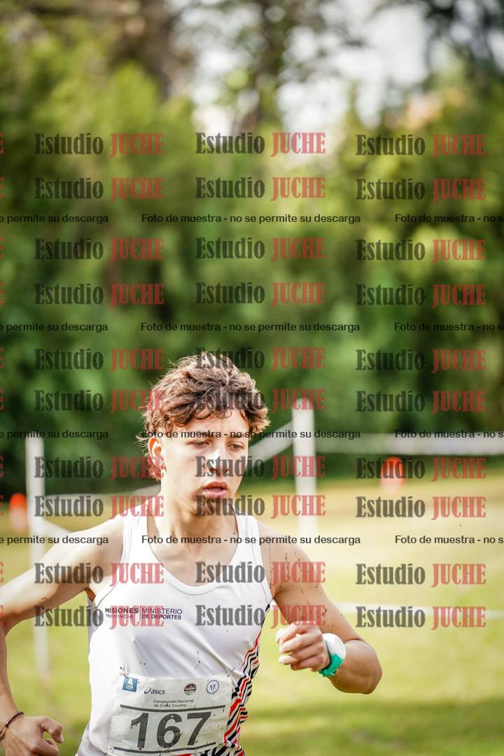 Fotos en el circuito