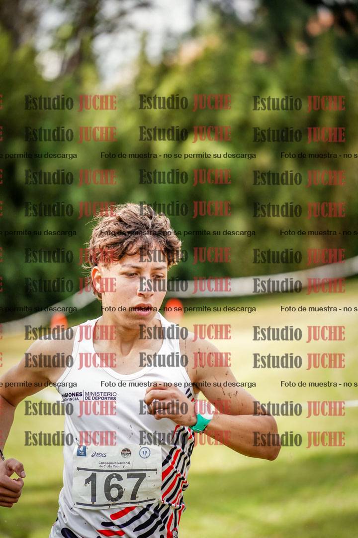 Fotos en el circuito