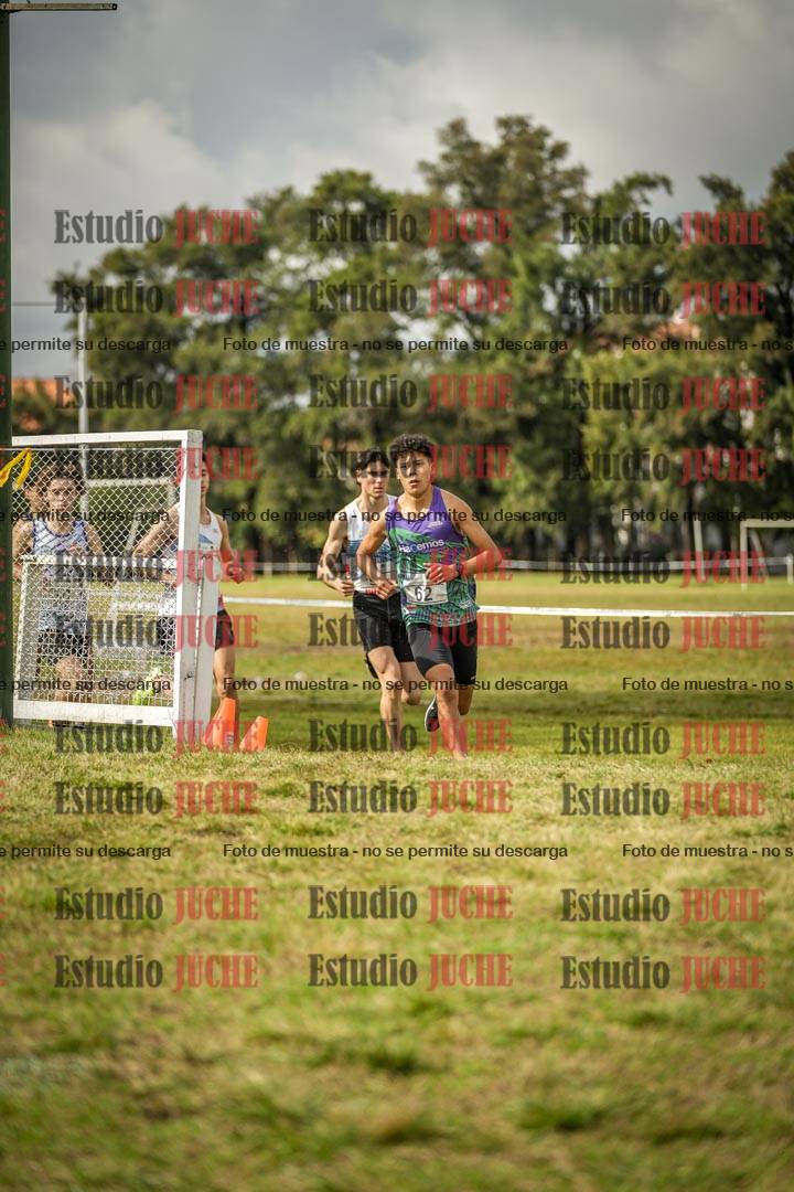 Fotos en el circuito