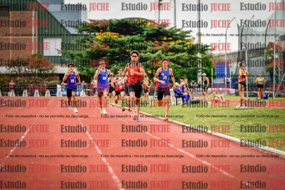 Fotos de los 800 m de varones