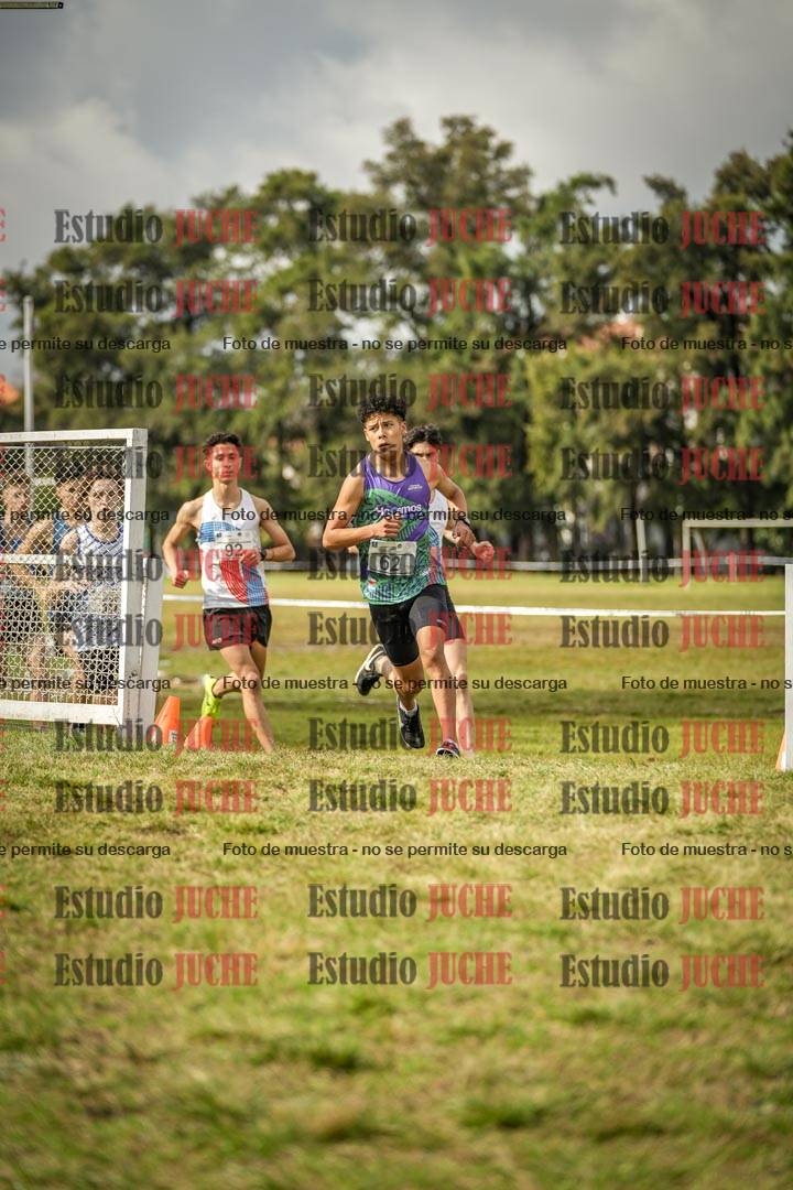 Fotos en el circuito