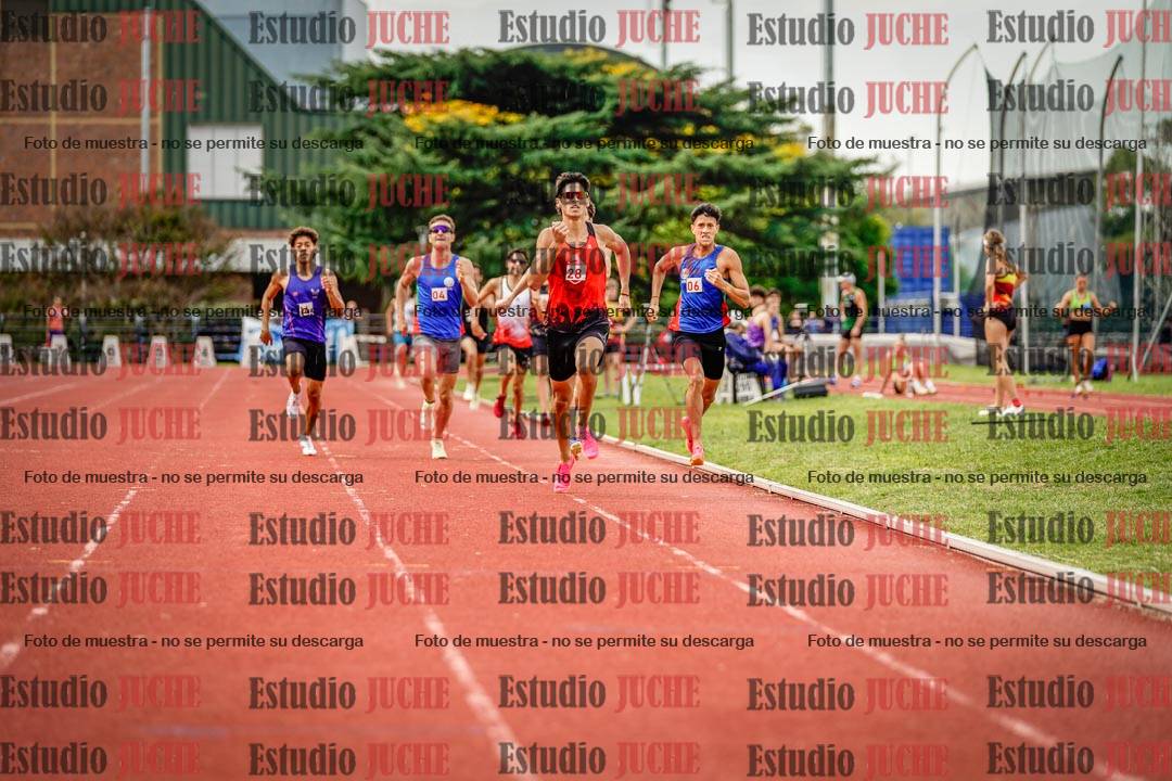 Fotos de los 800 m de varones