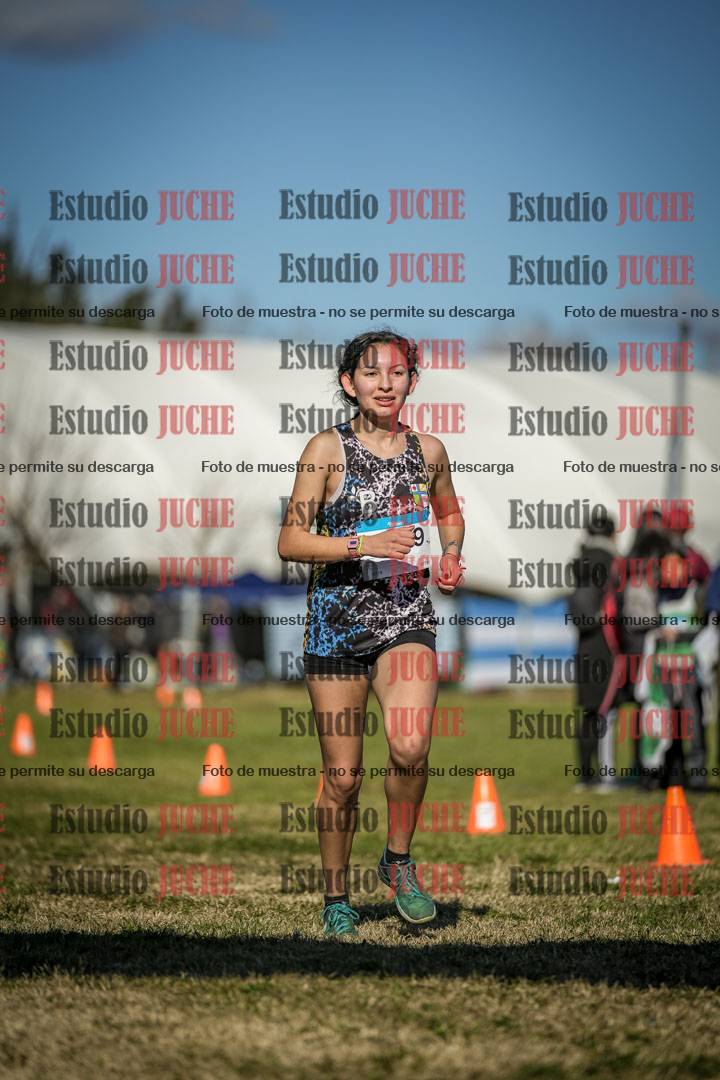 Fotos de las llegadas