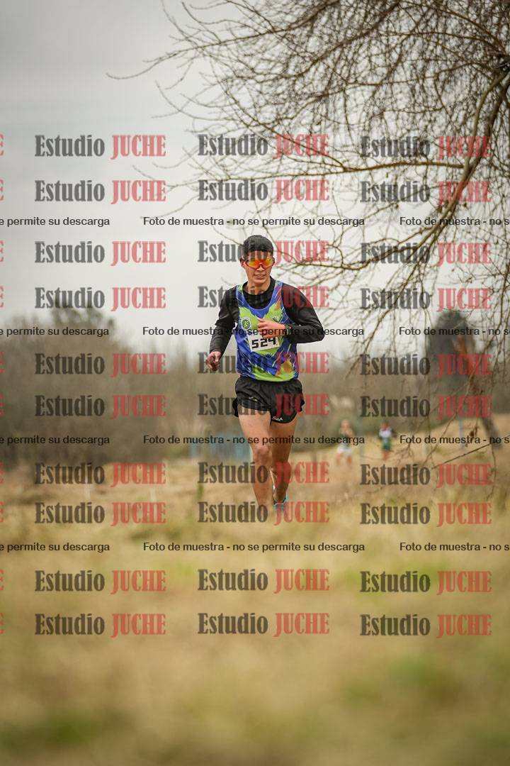 Fotos en el circuito