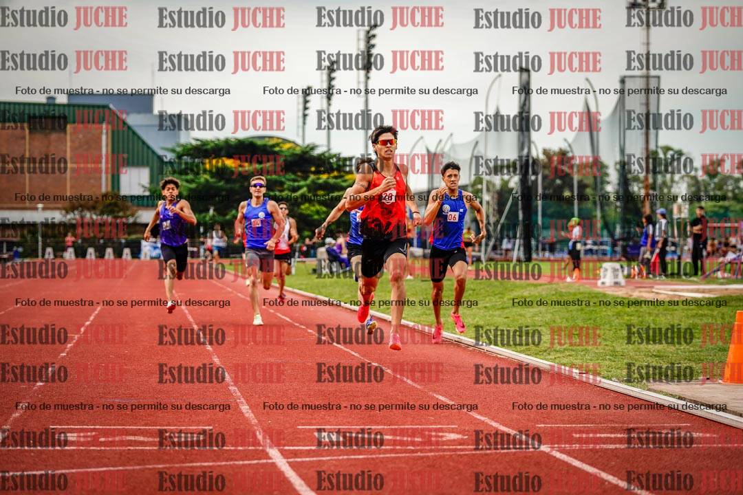 Fotos de los 800 m de varones