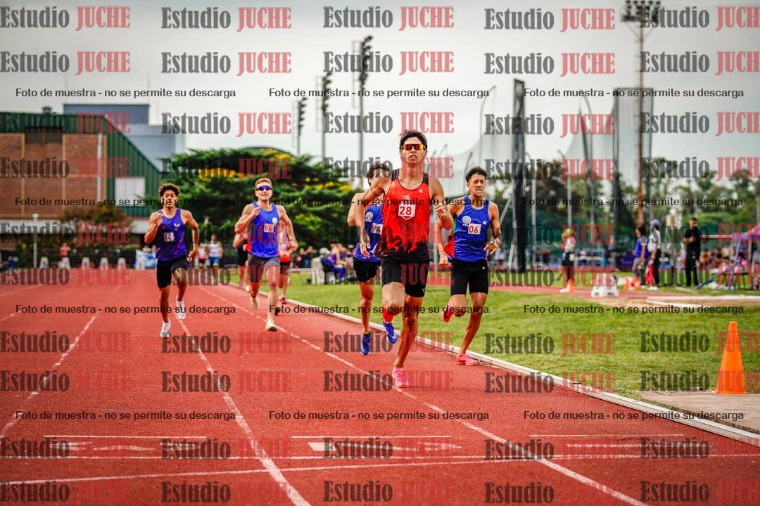 Fotos de los 800 m de varones