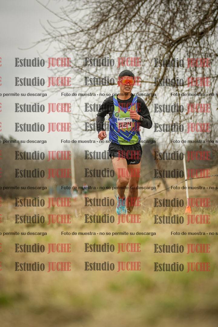 Fotos en el circuito