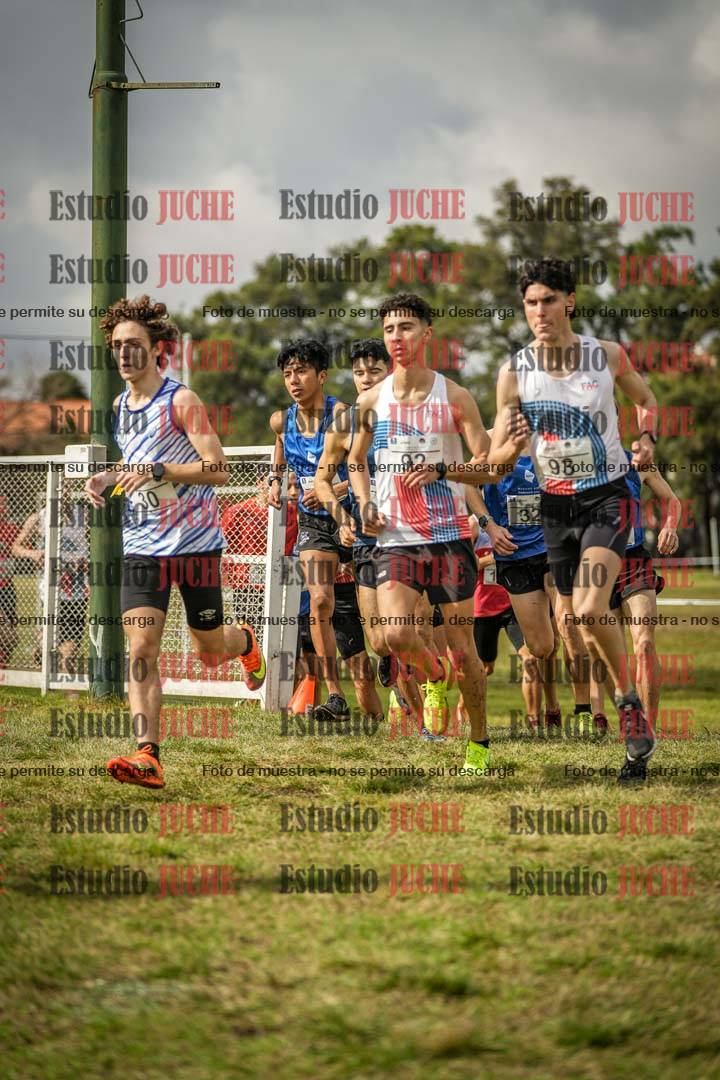 Fotos en el circuito