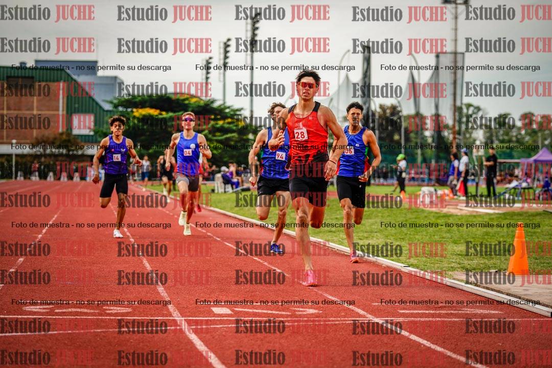 Fotos de los 800 m de varones