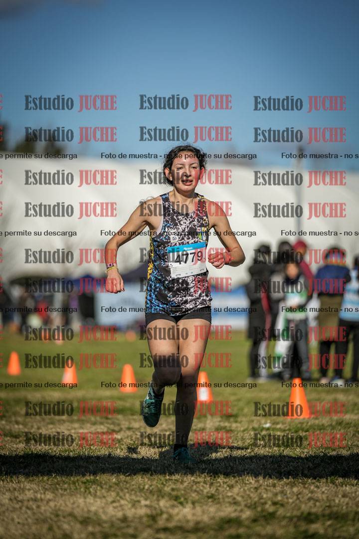 Fotos de las llegadas