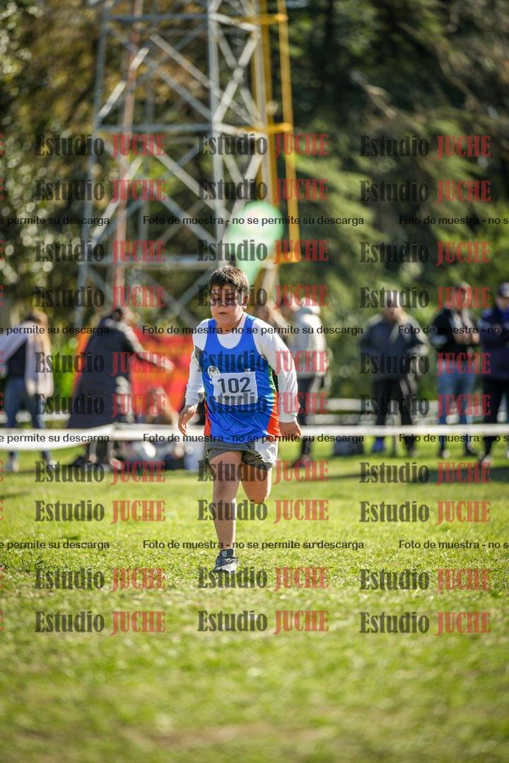 Fotos de la llegada del cross de 1500 m