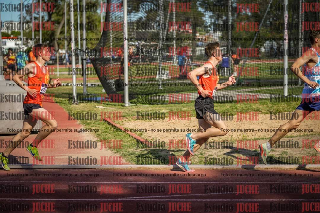 Fotos de los 5000 m llanos de varones