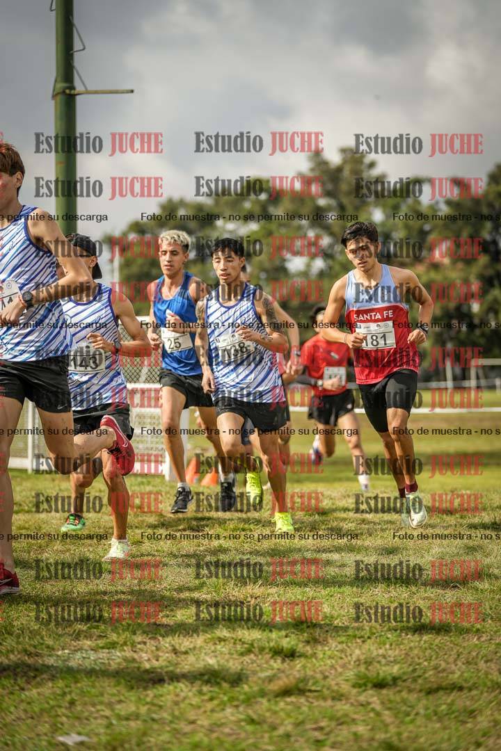 Fotos en el circuito