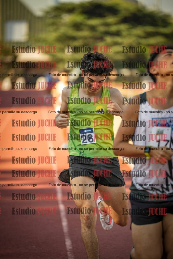 Fotos de los 800 m llanos de varones