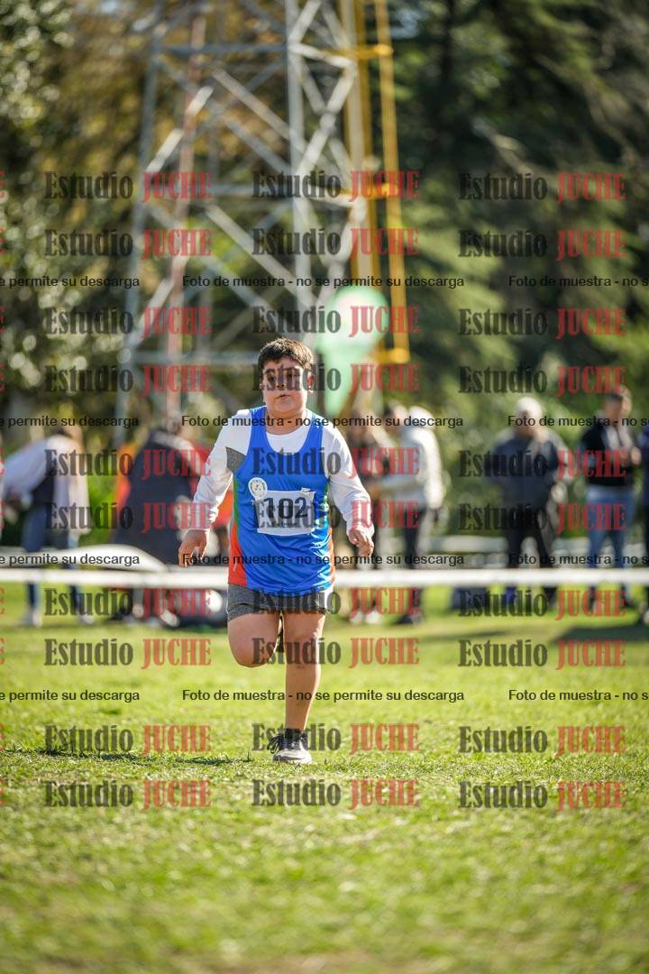 Fotos de la llegada del cross de 1500 m