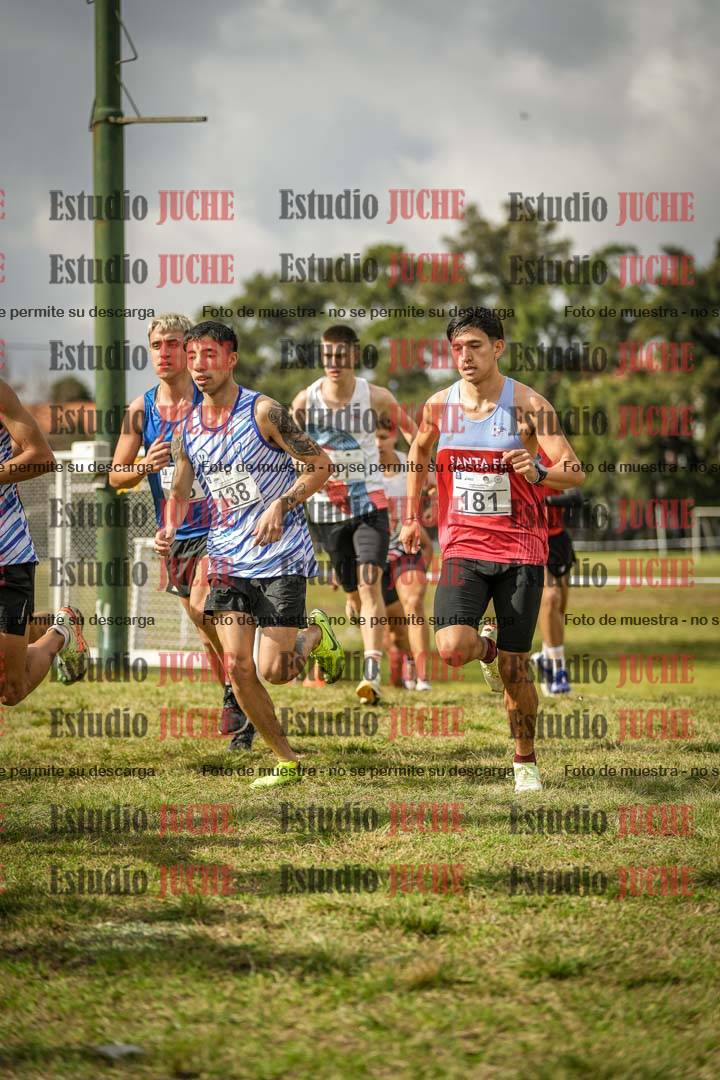 Fotos en el circuito