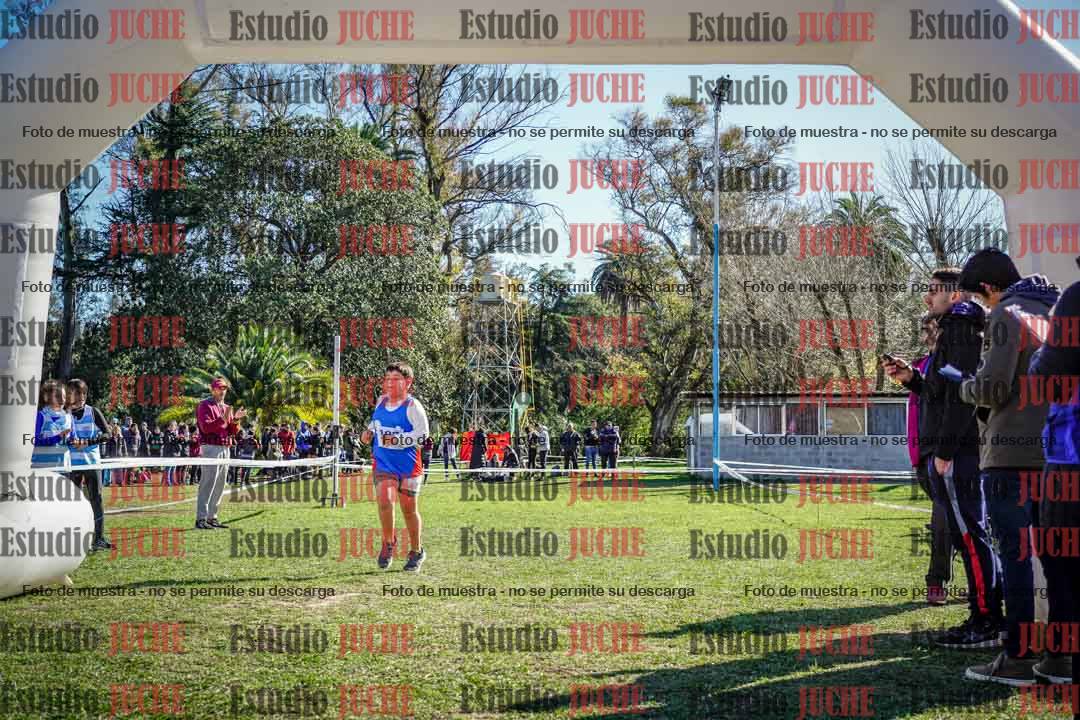Fotos de la llegada del cross de 1500 m