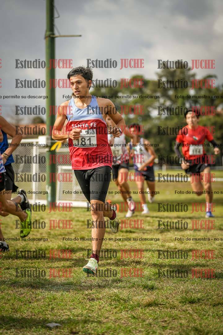 Fotos en el circuito