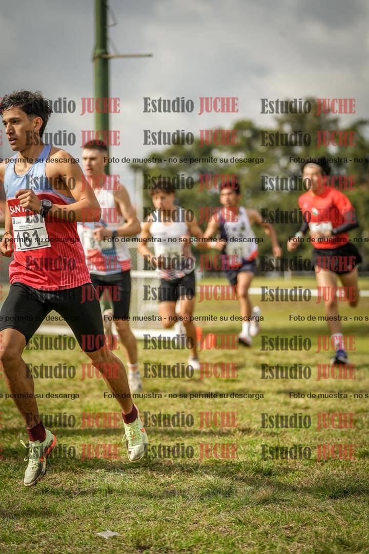 Fotos en el circuito
