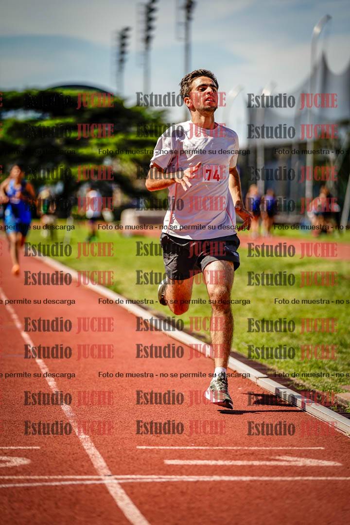 Fotos de los 800 m llanos de varones