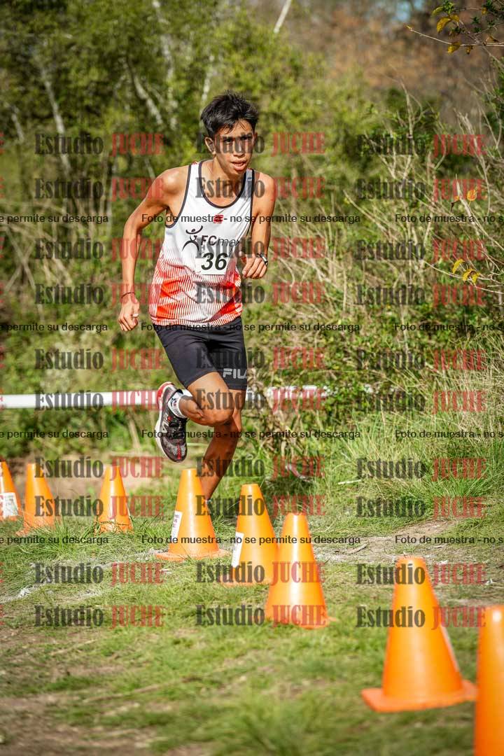 Fotos en el circuito