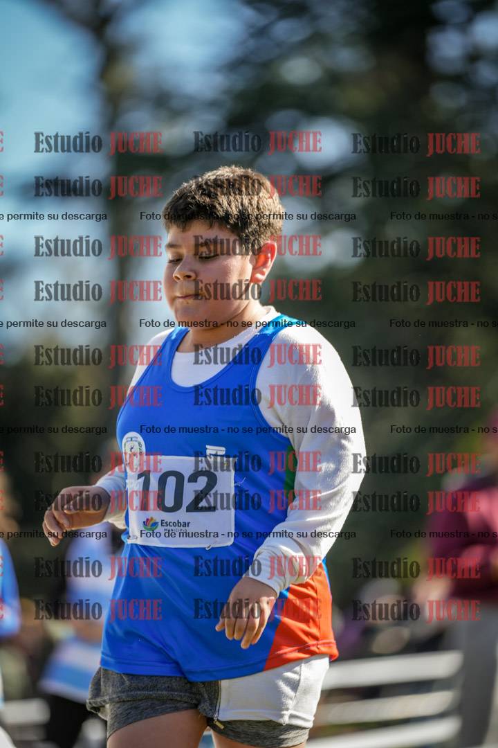 Fotos de la llegada del cross de 1500 m