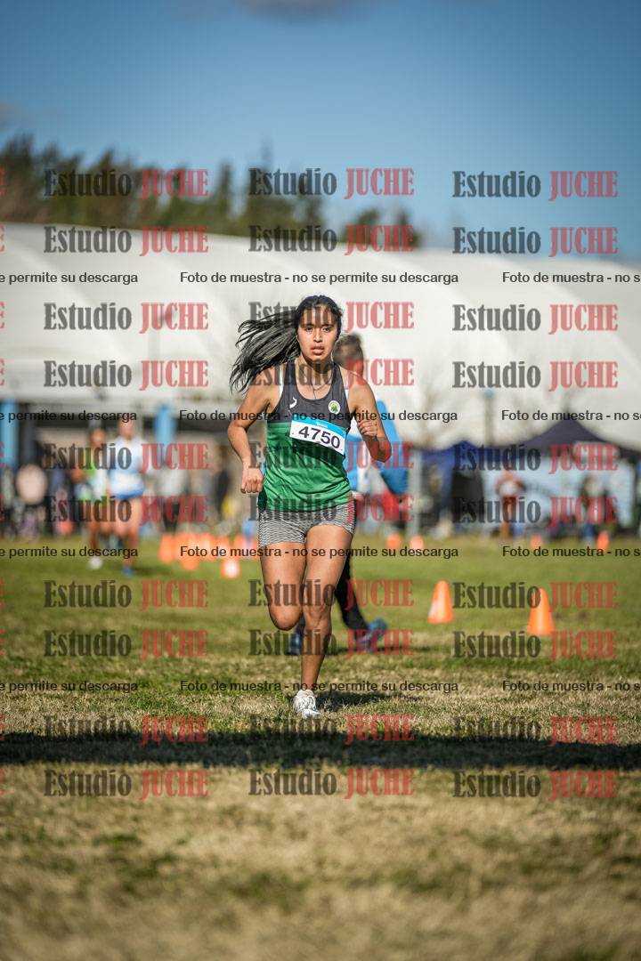 Fotos de las llegadas
