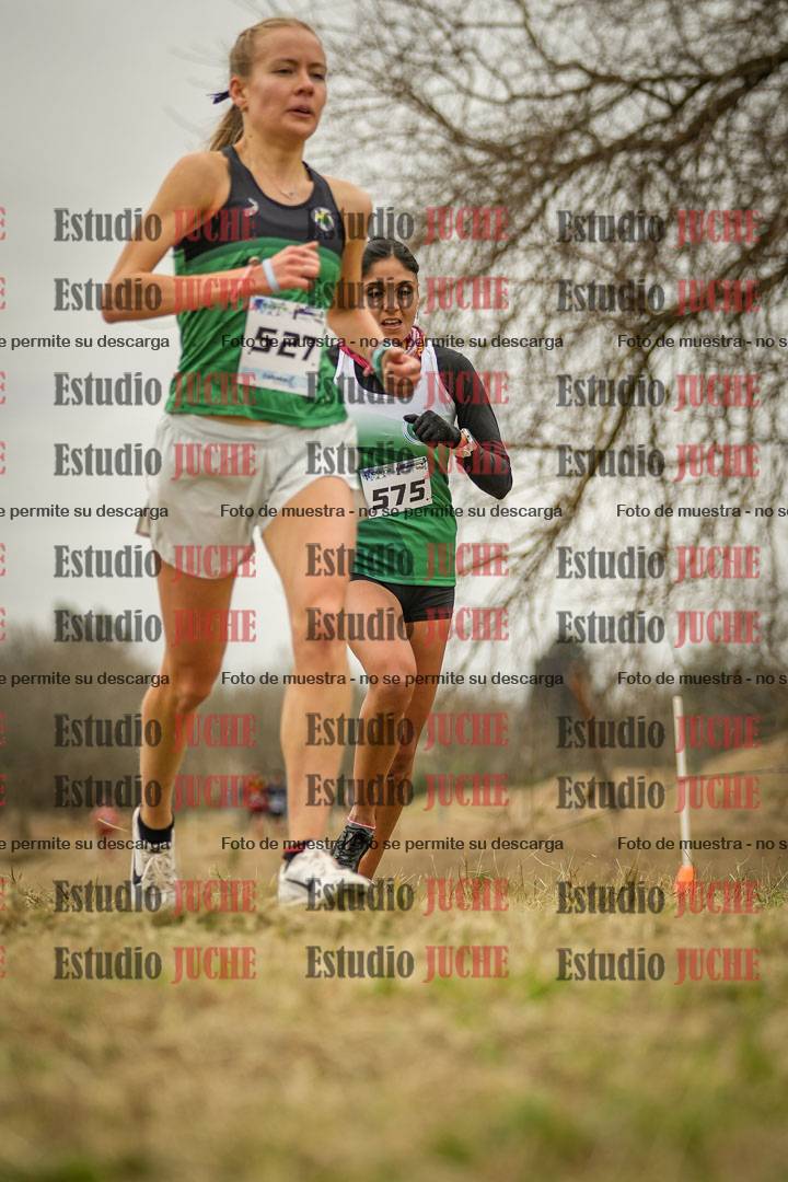 Fotos en el circuito